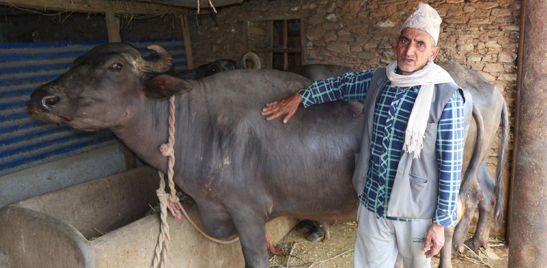 उजाडिएको गाउँका मिहिनेती किसान रघुनाथ
