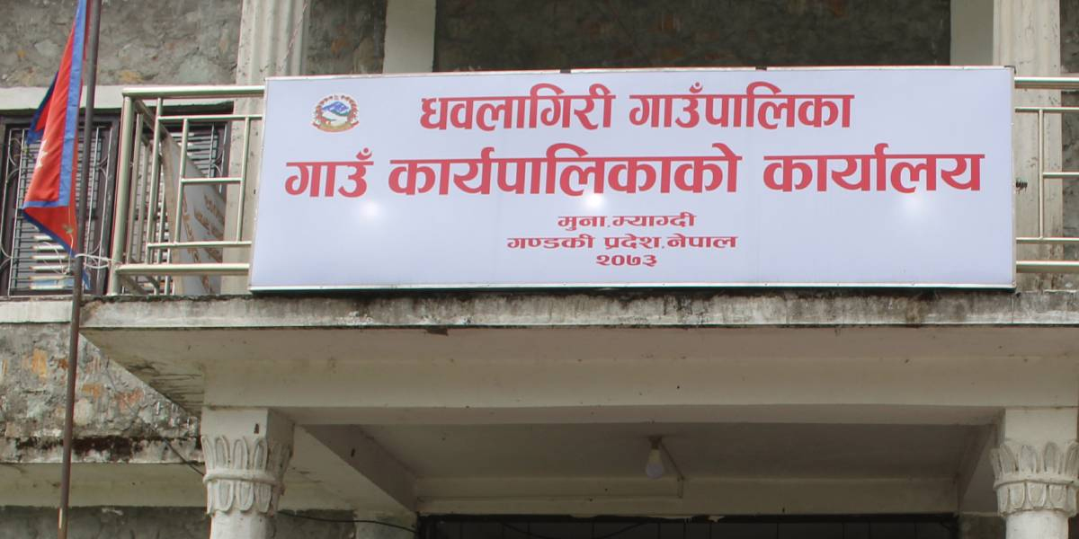 धवलागिरि गाउँपालिकाद्वारा ५० प्रतिशत अनुदानमा ५३ यान्त्रिक हलो वितरण