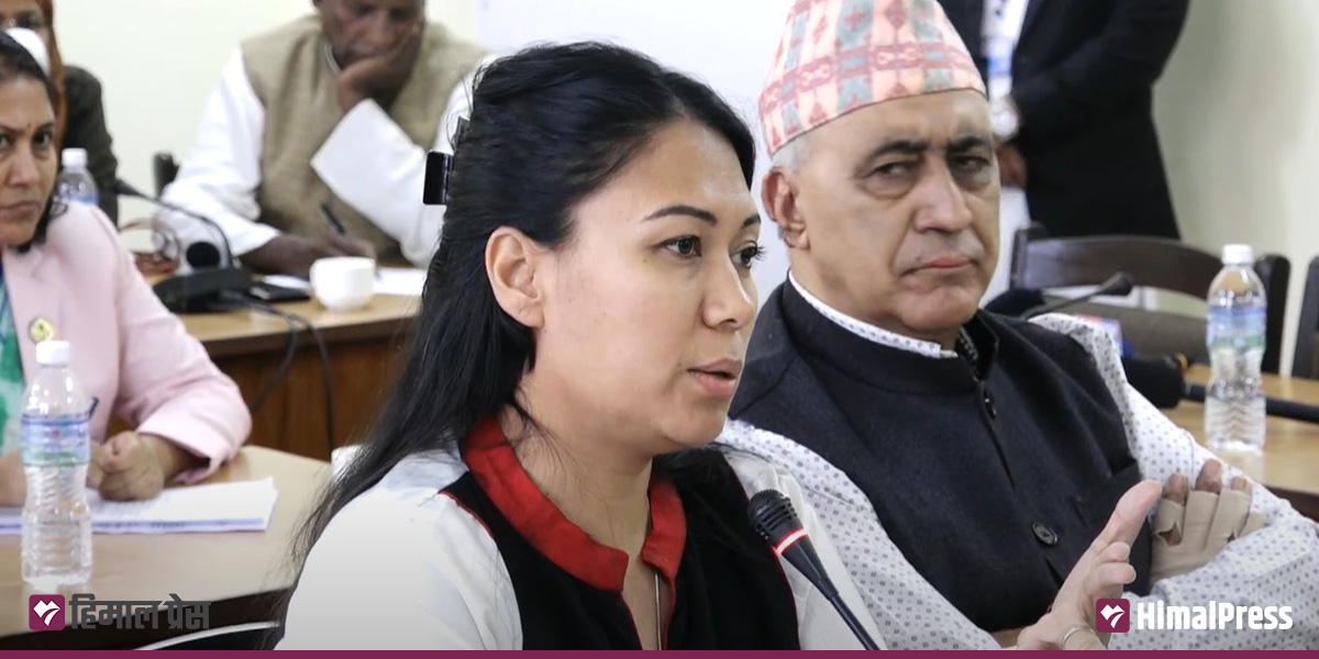 शिक्षा विधेयकमा निजी विद्यालयबारे सांसदबीच फरक मत, कसले के भने?