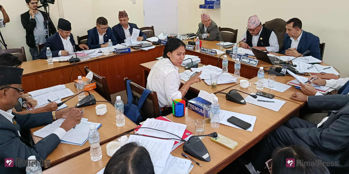 शिक्षा समिति बैठक : शिक्षकको मापदण्ड, बोर्डको नेतृत्व र करार कर्मचारी स्थायित्वमा सहमति