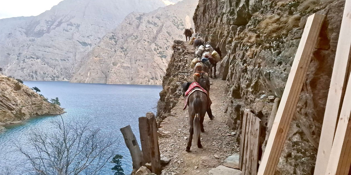 घोडा : पहाडका यातायात