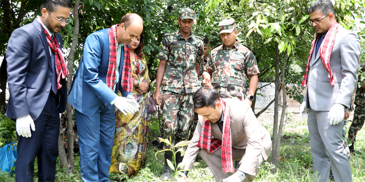 ग्लोबल आईएमई बैंकद्वारा देशव्यापीरूपमा वृक्षारोपण