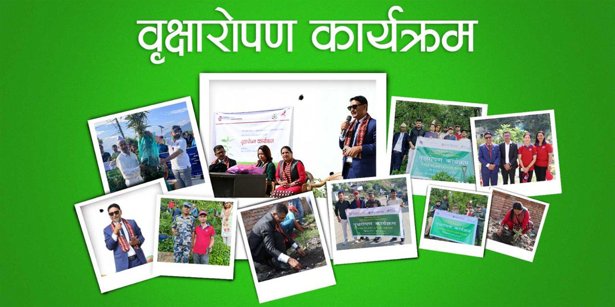 ग्लोबल आईएमई बैंकद्वारा टोखा र रुपाकोट मझुवागढी नगरपालिकामा वृक्षारोपण