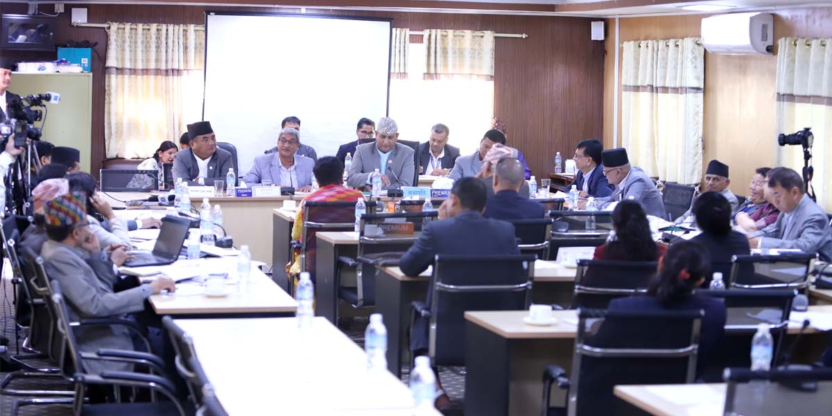 नागरिकता संशोधन विधेयक : संशोधनकर्तासँग सकियो छलफल, एनआरएनए र गोर्खासँग बाँकी