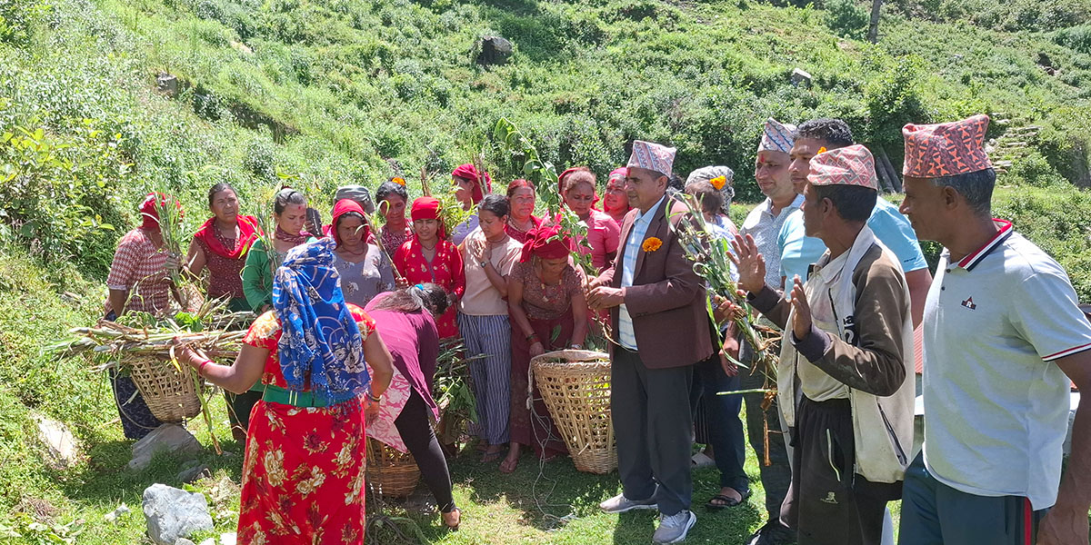 आत्मनिर्भर आमाहरू : बाख्राले बढायो आम्दानी, सामुदायिक वनमा सुरु भयो घाँसखेती