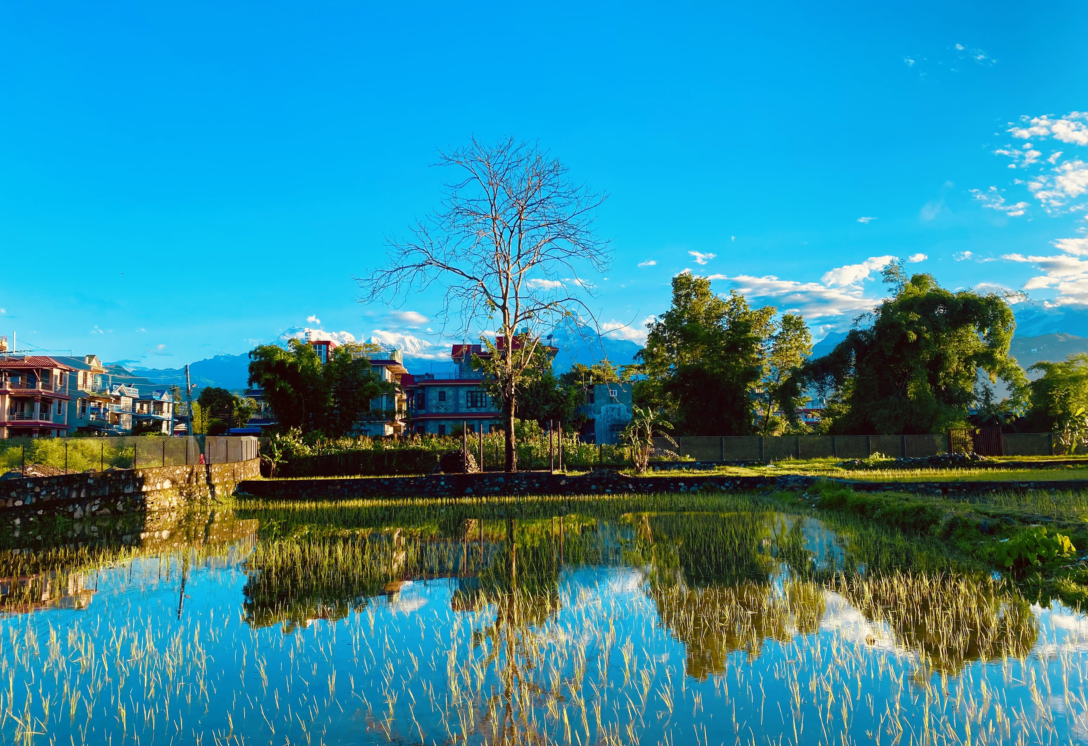 वाह! माछापुच्छ्रे