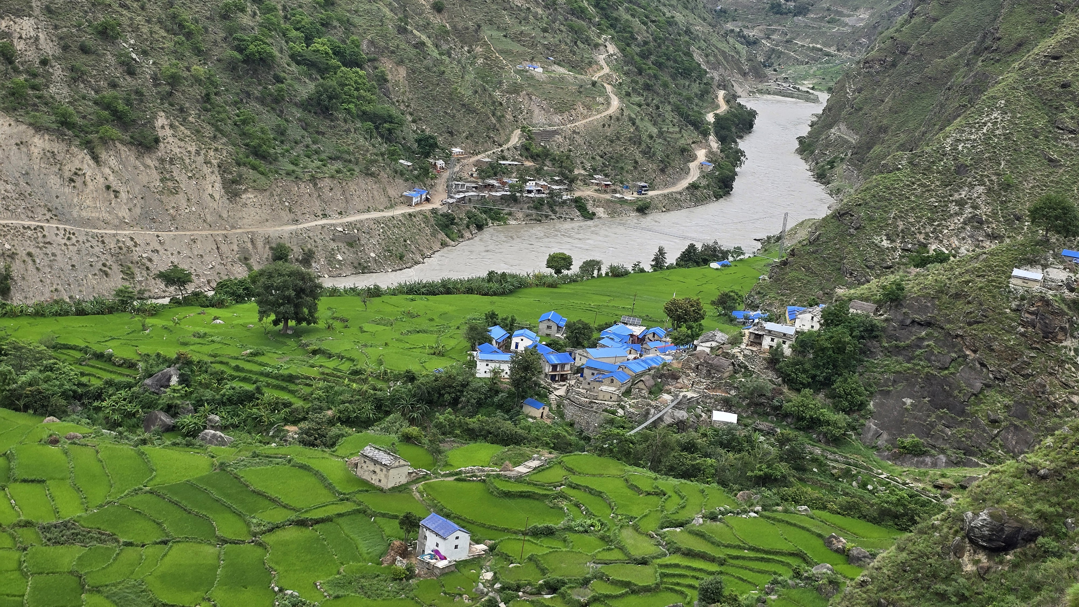 लाफागाउँको हरियाली धानबाली