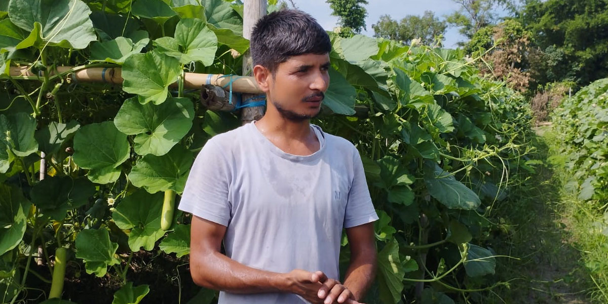 जैविक खेतीमार्फत आर्थिक समृद्धिको बाटोमा जोशी