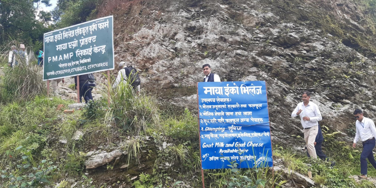 कृषि सिकाइको पाठशाला बन्दै ‘माया इको भिलेज एकीकृत कृषि फार्म’