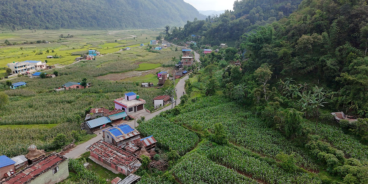 तनहुँमा साढे ५ हजार किलो मकैका बीउ वितरण