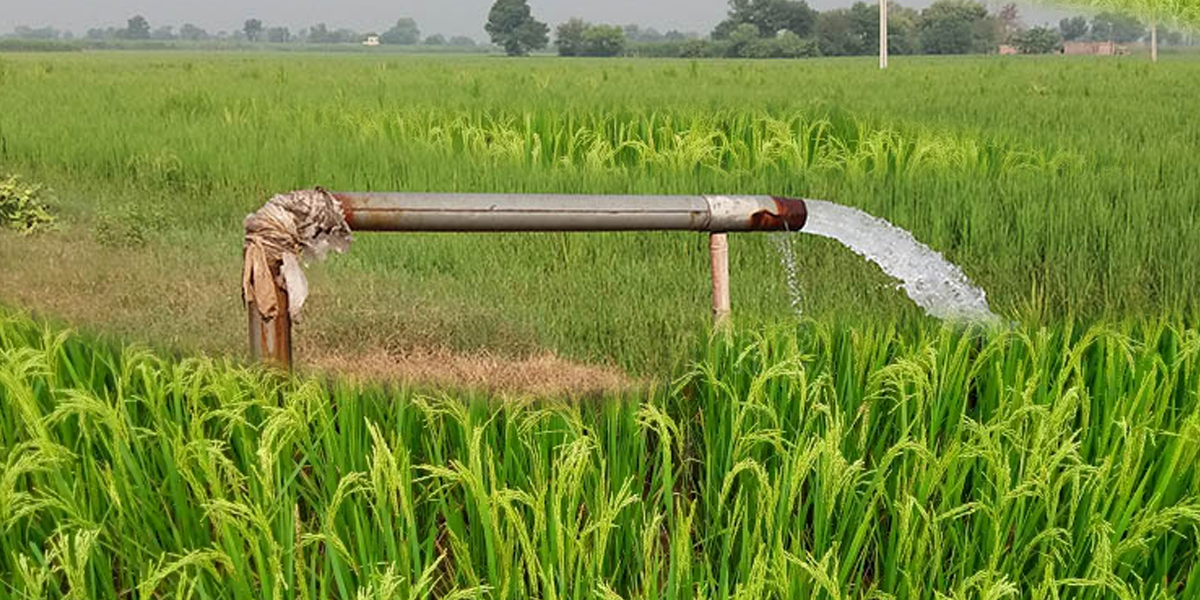 नवलपरासीमा एक वर्षमा १६ डिप बोरिङ वितरण, ४२५ हेक्टरमा सिँचाइ