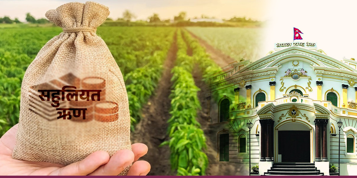 किसानका लागि २६ प्रकारका सहुलियतपूर्ण कर्जा, अन्य क्षेत्रमा कति? [विवरणसहित]