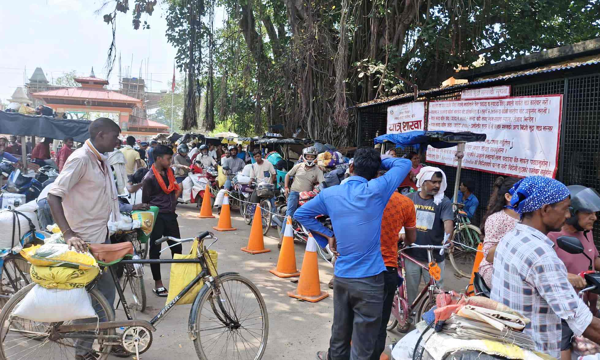 स्वदेश फर्कनेको घुइँचो