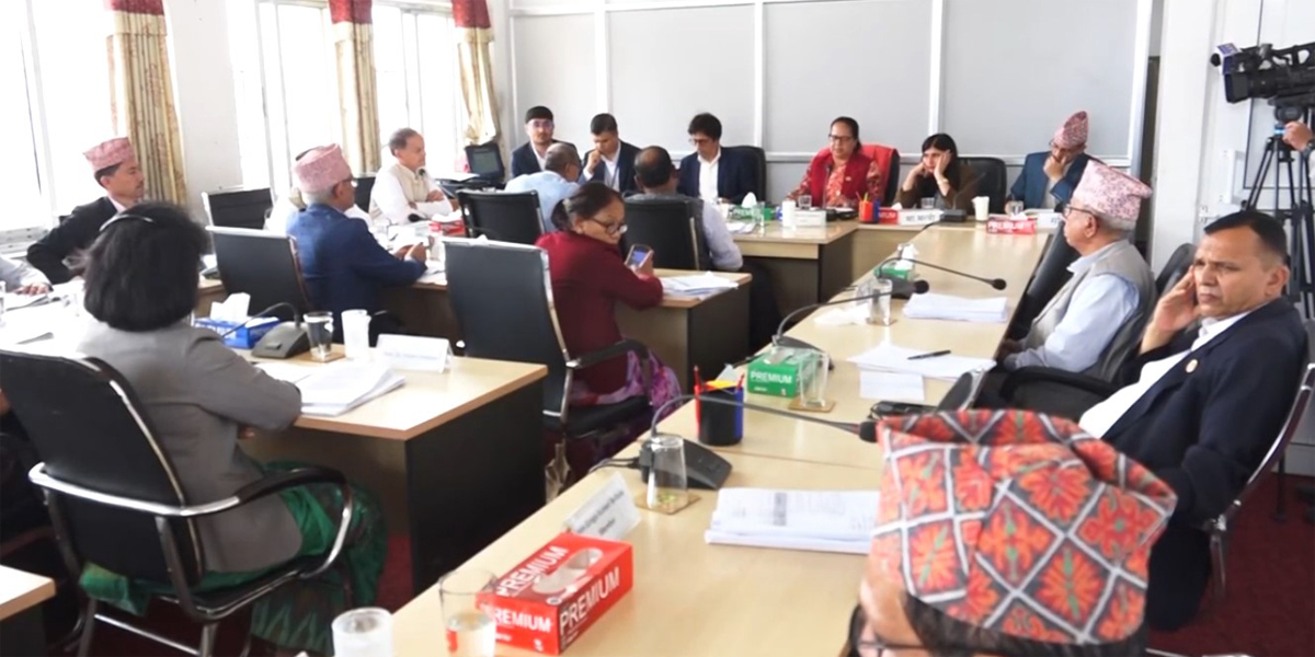 निजामती विधेयक : अवकाश उमेरहदका विषयमा विवाद, बैठक छोडेर बाहिरिइन् मन्त्री