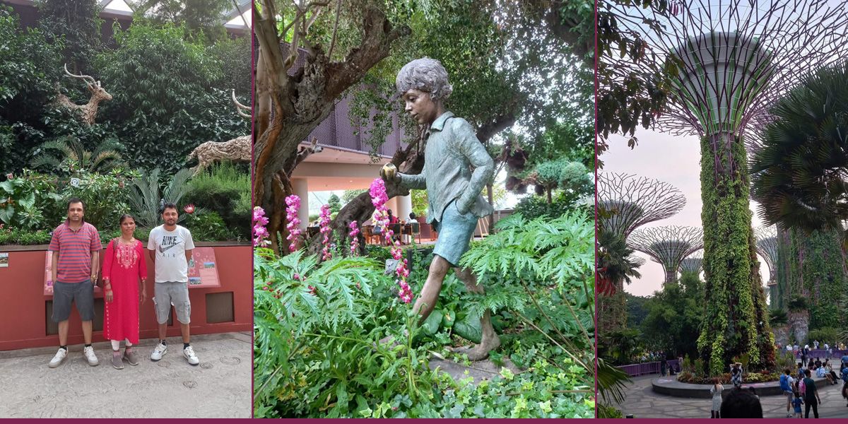 सिंगापुरको ‘सुपर ट्री’मा संगीतको तालमा बिजुलीको उधुम