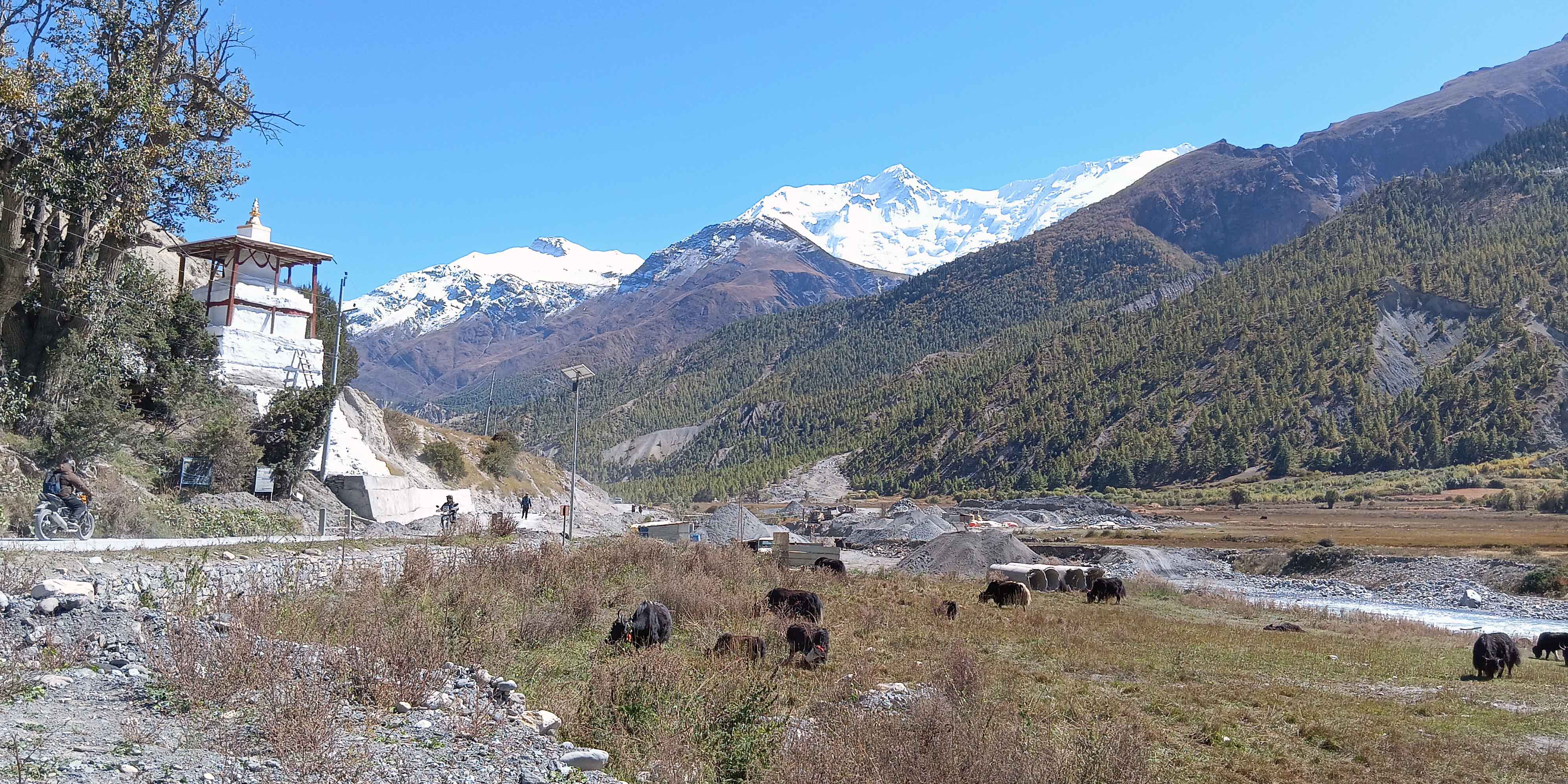जलवायु परिवर्तनको मारमा चौँरी खर्क
