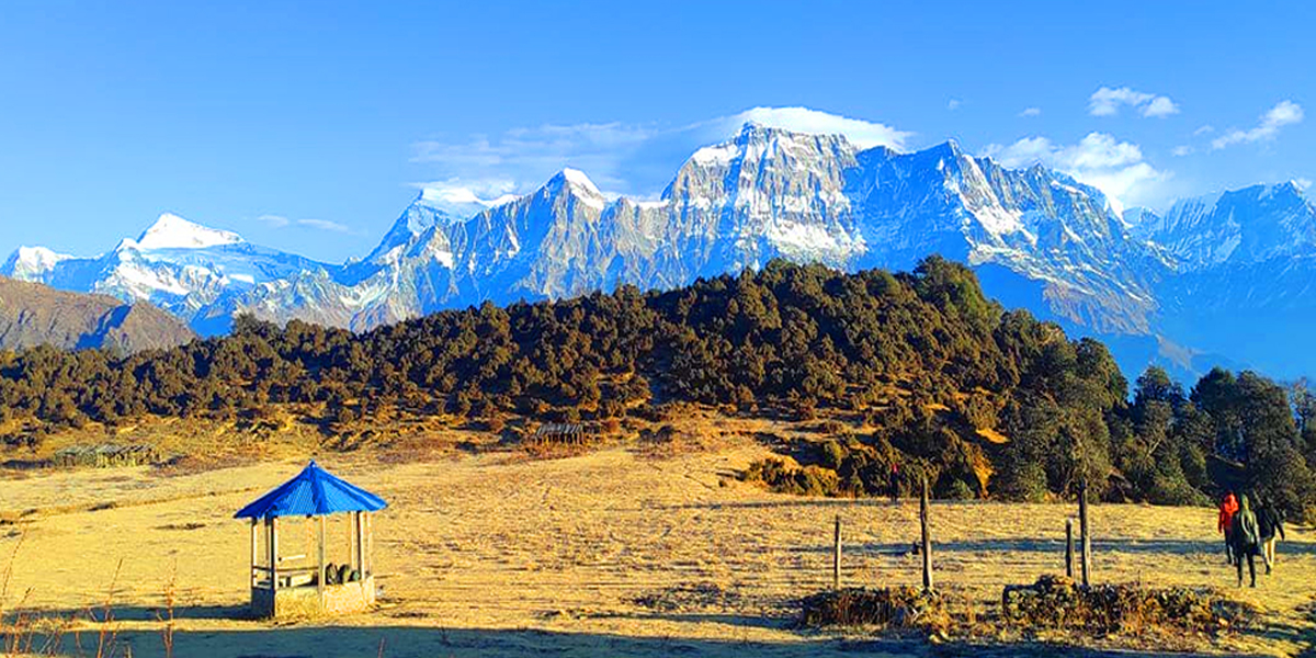 सडक नखुल्दा जलजला पुग्न पाएनन् पर्यटक