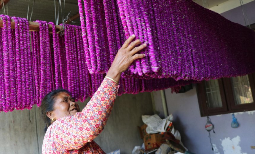 गुण्डुमा ढकमक्क मखमली