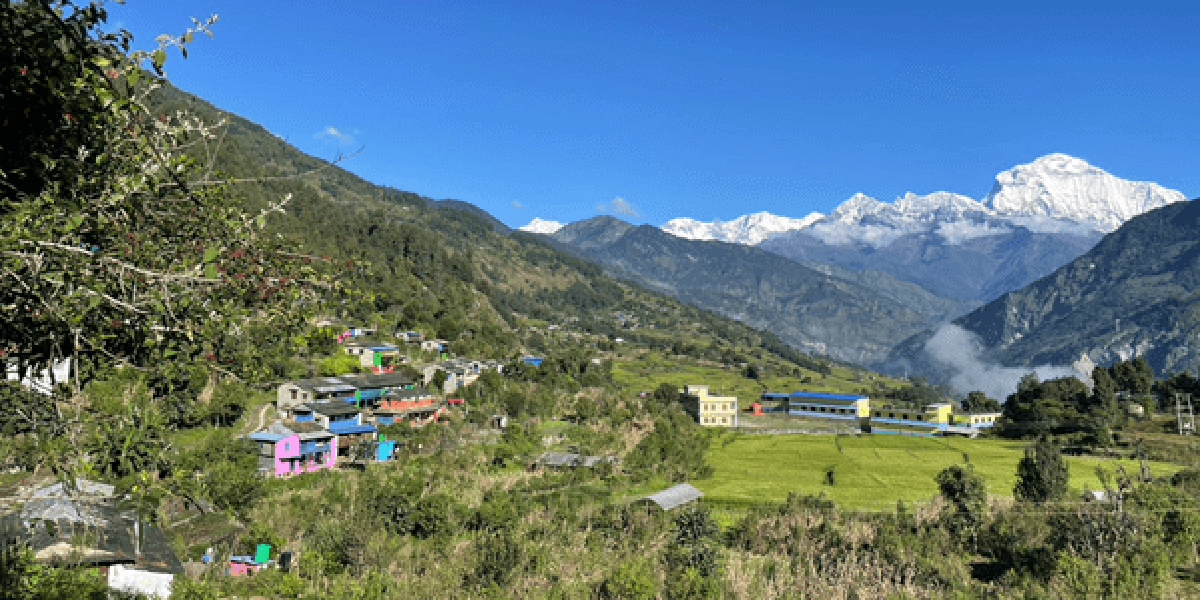 तोरीपानीका पाँचघरमा ‘होमस्टे’ सञ्चालन
