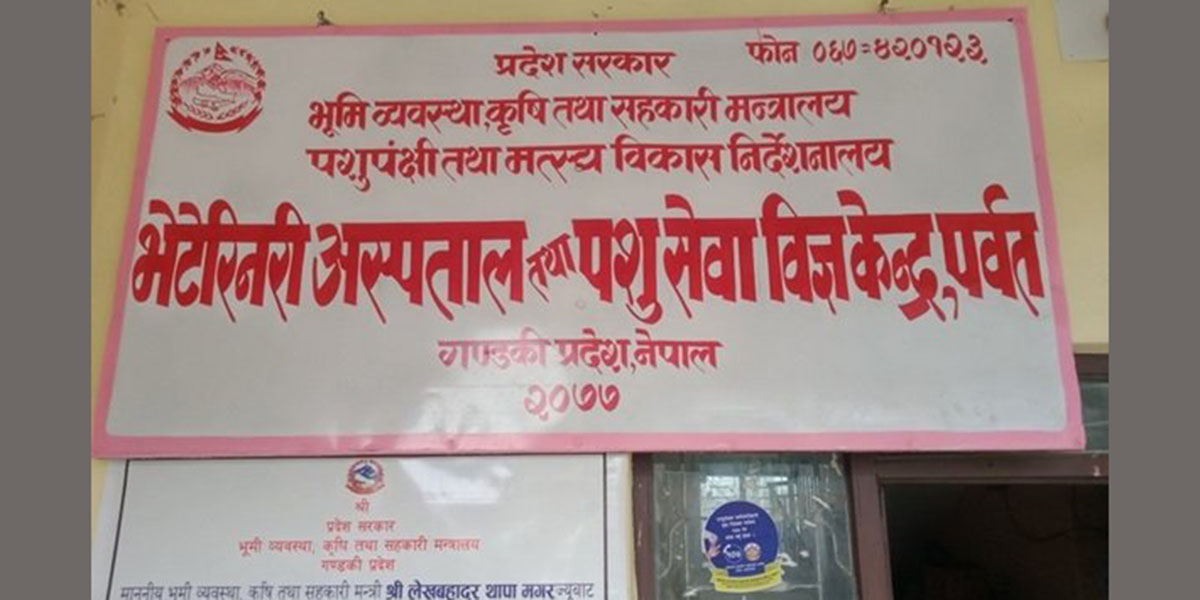 पशुपालक किसानलाई आत्मनिर्भर बनाउन ८० लाख अनुदान