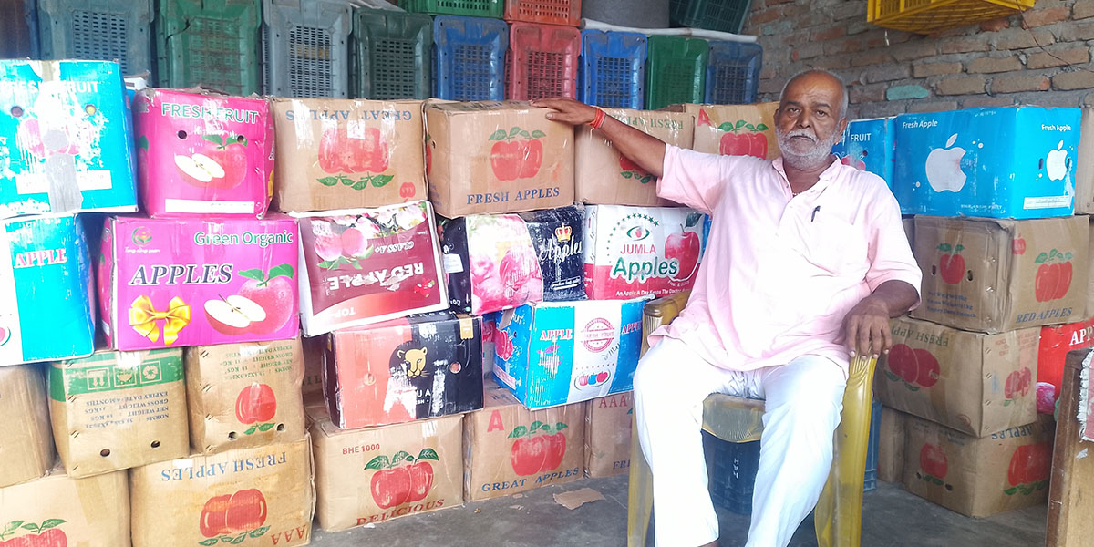 कर्णालीको स्याउ ब्राण्डिङ गर्दै विदेशी स्याउलाई विस्थापित गर्ने नेपालगन्जका प्रेमलाल