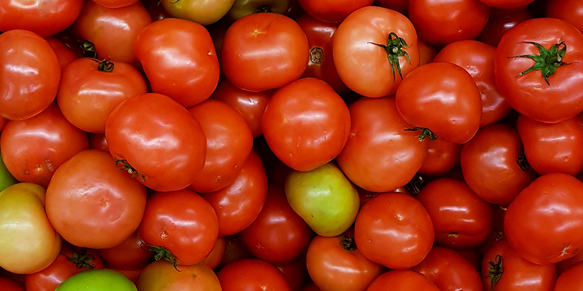 फलफूल-तरकारीको मूल्य निर्धारण, गोलभेँडा प्रतिकेजी कति?