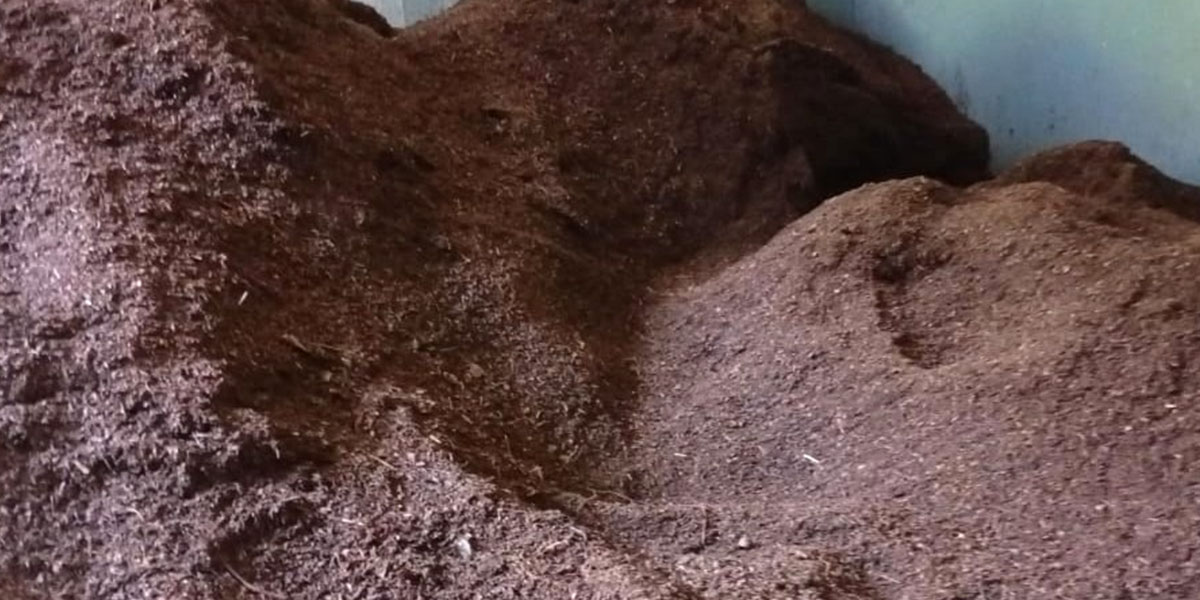 पातपतिङ्गरबाट जैविक मल उत्पादन गर्दै सराङकोट