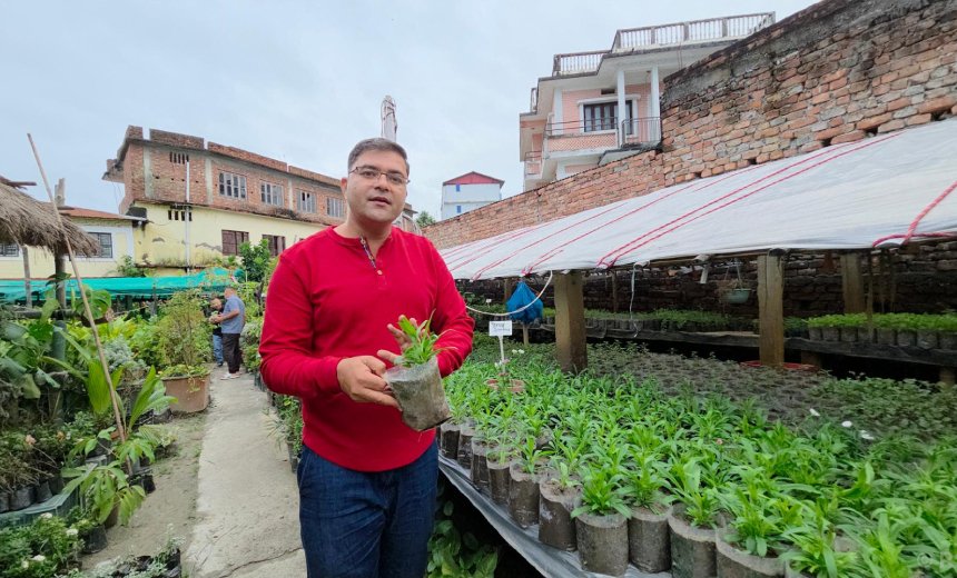नर्सरीबाट वार्षिक ४० लाख आम्दानी