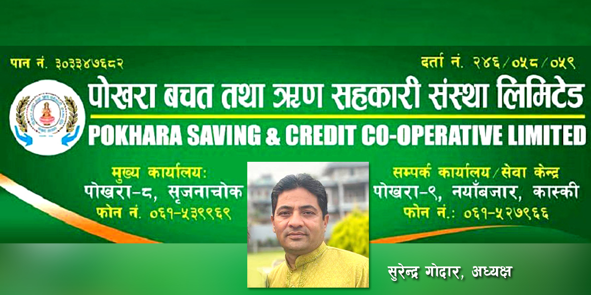 पोखरा बचत सहकारी ठगी प्रकरण : नक्कली ऋणी खडा गरेर गरिएको थियो हिनामिना