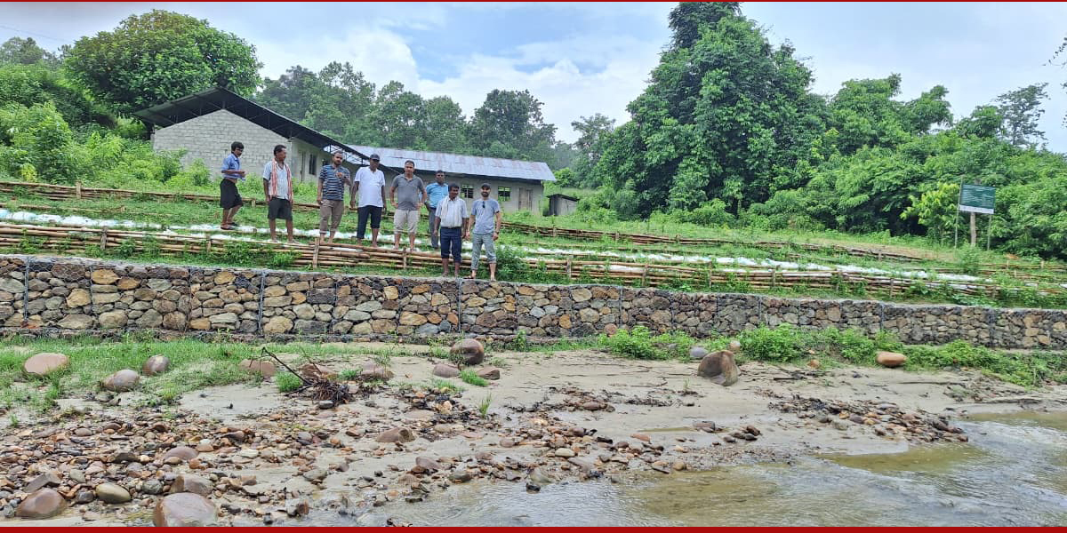 बेतहा खोला नियन्त्रणमा सामुदायिक प्रयास : जैविक तटबन्धले बस्ती र विद्यालय सुरक्षित