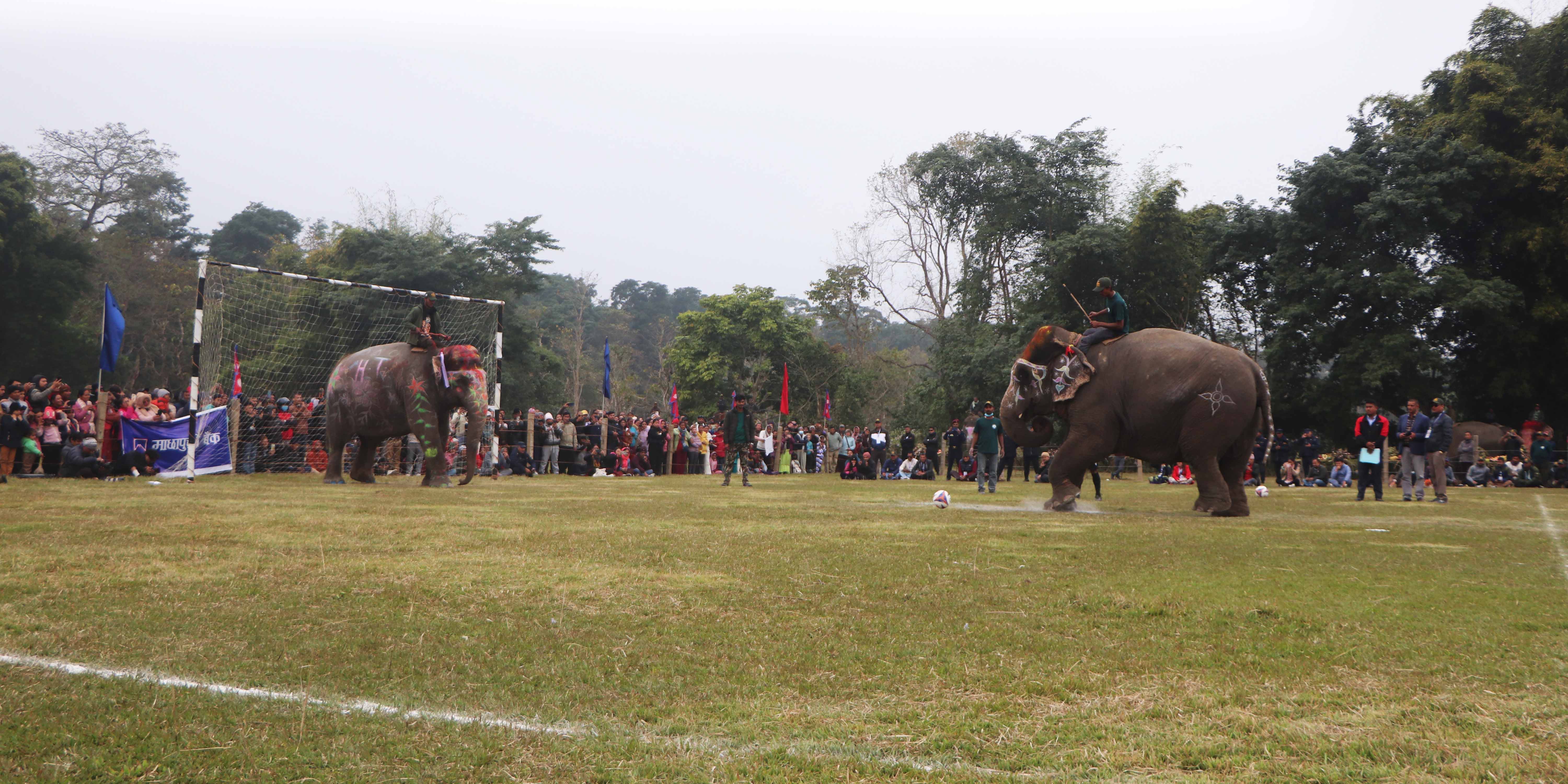 हात्ती ‘पेनाल्टी’ प्रतियोगितामा लक्ष्मीकली प्रथम