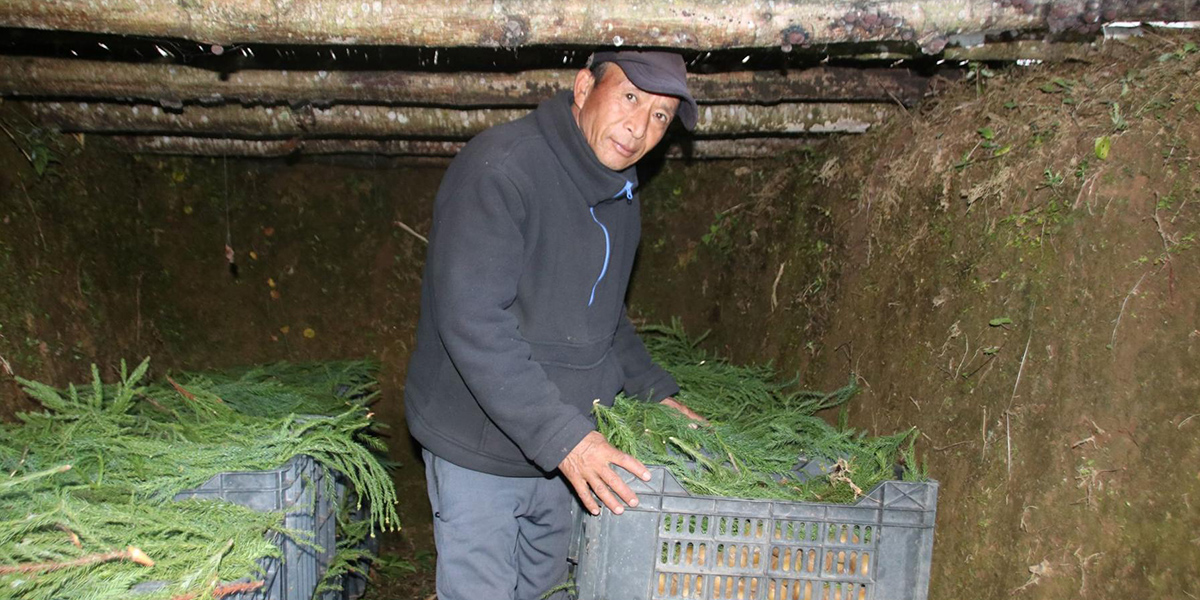 प्राकृतिक शीतभण्डारले किसानलाई राहत