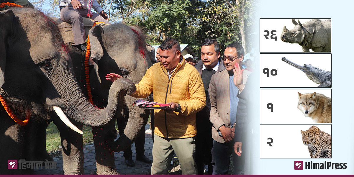 वन्यजन्तु कूटनीति : कुन देशलाई कति उपहार?