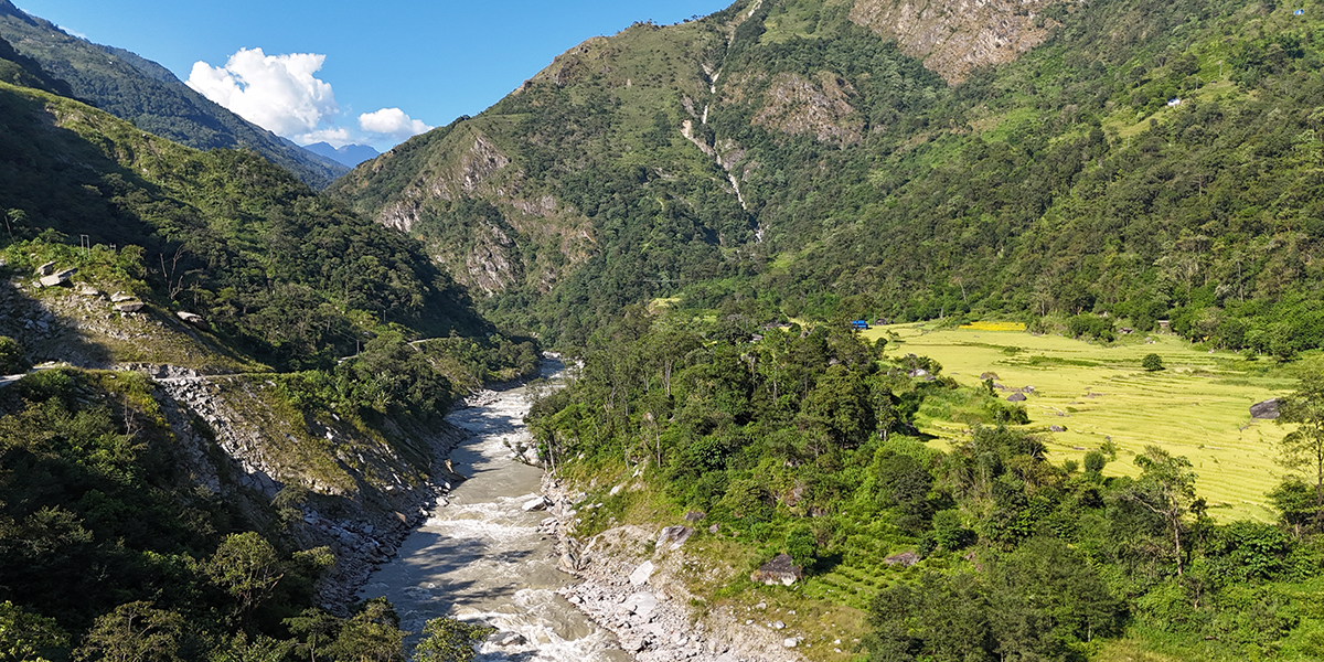 माथिल्लो अरुण आयोजना निर्माणका लागि दुई हजार बढी रुख काटियो