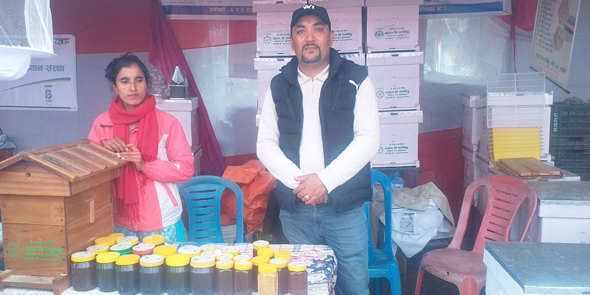 युवालाई स्वदेशमै रोक्ने मौरी व्यवसाय, कास्कीका रमेशराज बने उदाहरण