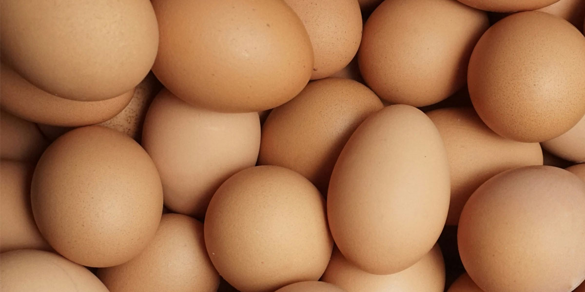 अण्डाको मूल्य निरन्तर उकालो