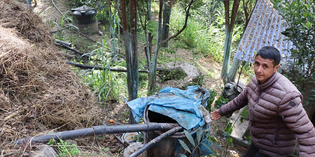 गाईभैँसीको गहुँतबाट जैविक विषादी उत्पादन गर्छन् भूपेन्द्र शर्मा