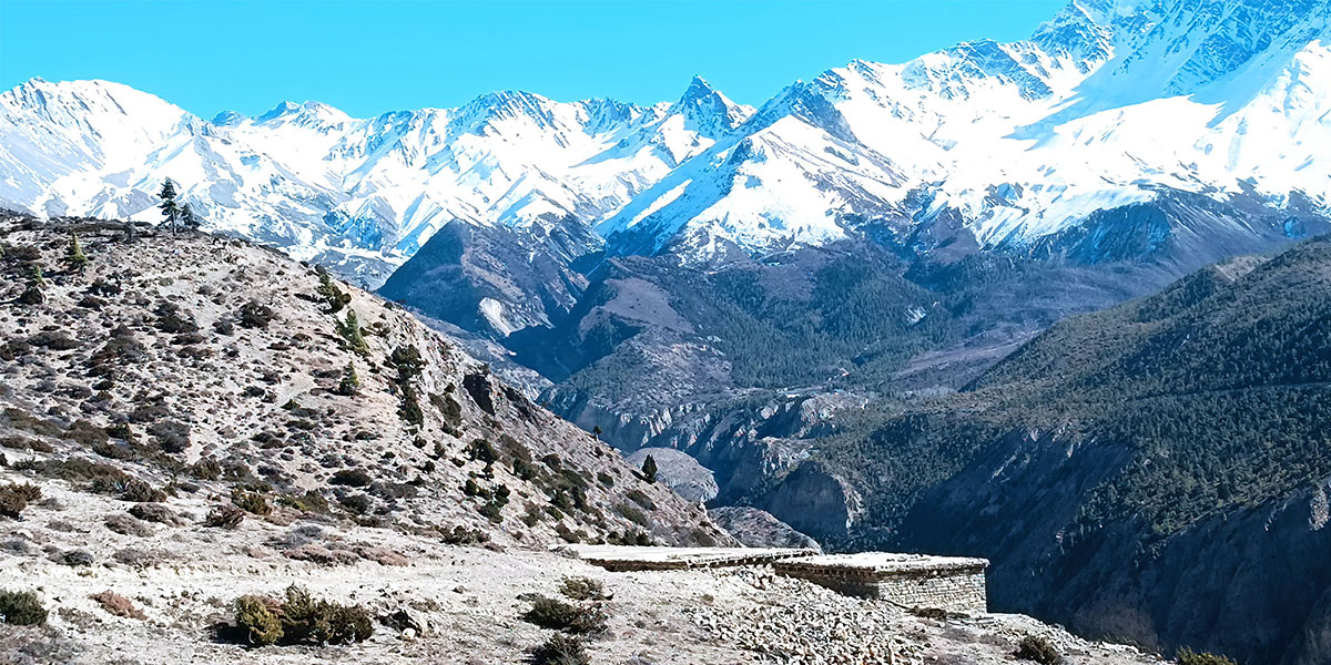 बाख्रा गोठ र तिलिचो हिमशृंखला