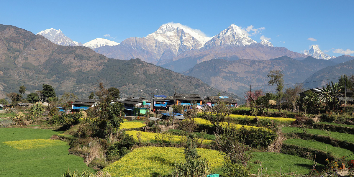 म्याग्दीको तोरीपानीमा ‘सयपत्री होमस्टे’ सञ्चालन, एकैदिन २१ पाहुना बस्नसक्ने सुविधा