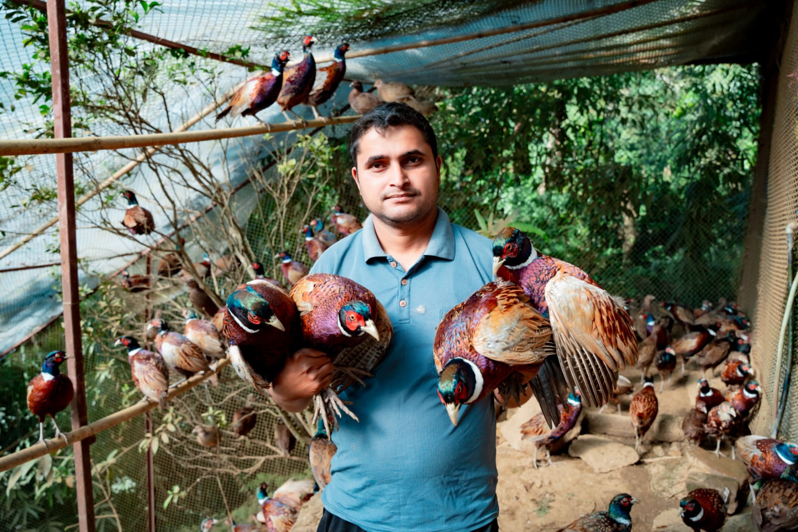 व्यावसायिक कृषिमा ढकाल परिवार, कालिज, सुन्तला र अकबरेबाट लाखौं आम्दानी