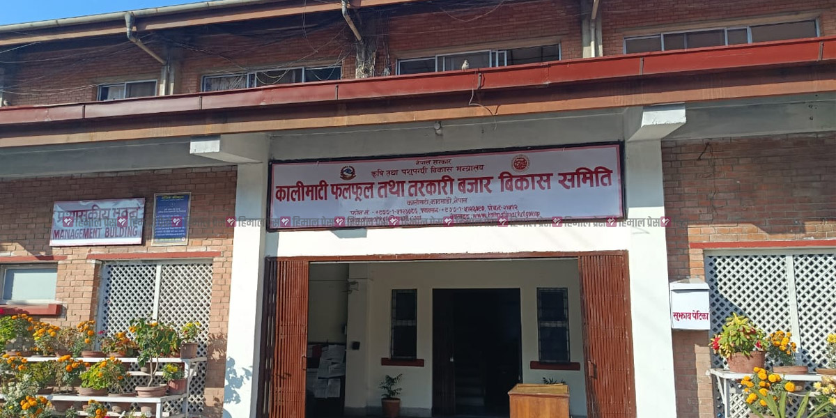 कालीमाटीमा आज कुन फलफूल र तरकारीको मूल्य कति?