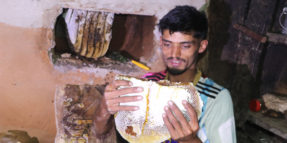 पूजा गर्ने खोप्पाको मौरी घार आम्दानीको स्रोत