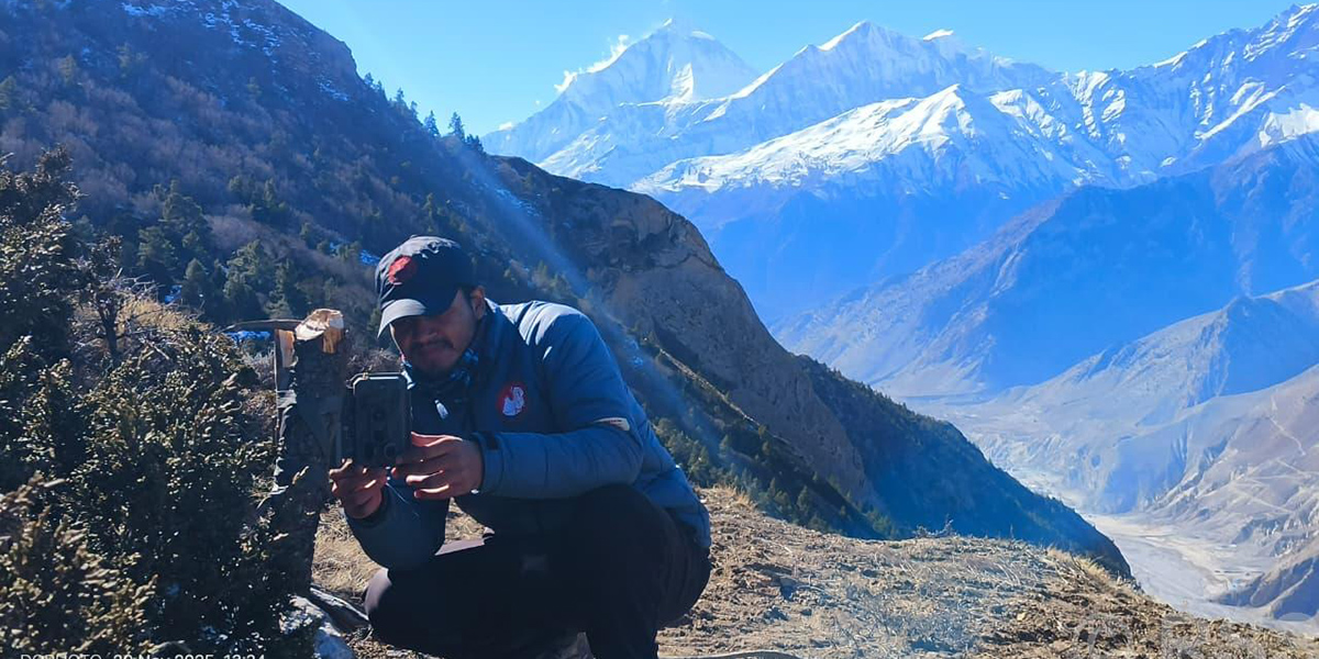 मुस्ताङका उच्चलेकमा हिउँ चितुवा अध्ययन गर्न ‘क्यामेरा ट्यापिङ’ गरिँदै