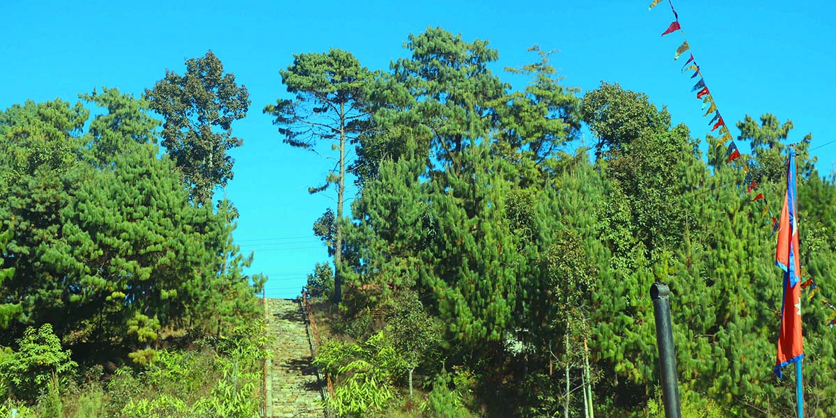 भोजपुरको काफ्ले डाँडालाई पर्यटकीय क्षेत्रका रूपमा विकास गरिँदै