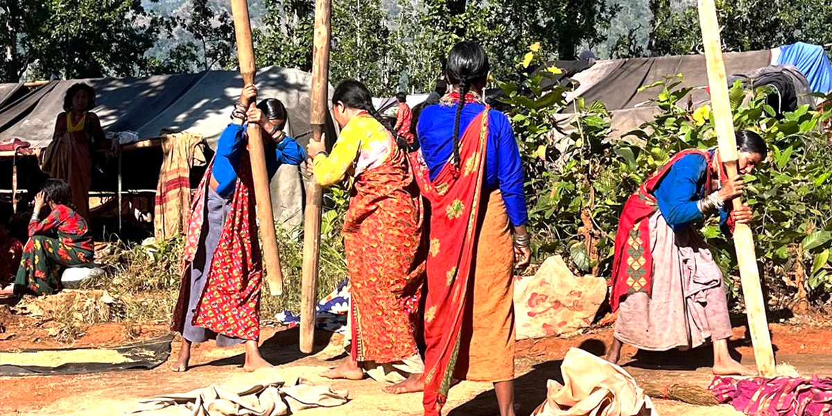 धान कुट्दै राउटे महिला