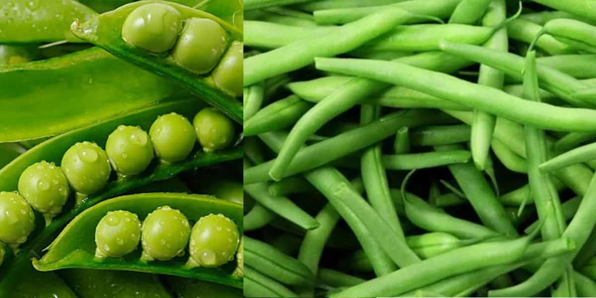 कालिमाटीमा तरकारीको मू्ल्य : मटरकोसा १३०, घिउ सिमी ९० [अरू कति?]