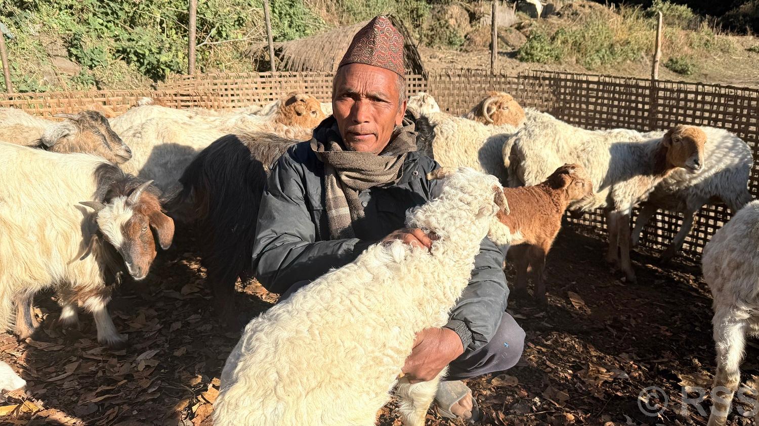 भेडा गोठाला छन्त्यालको ५ दशकमा पनि फेरिएन दैनिकी