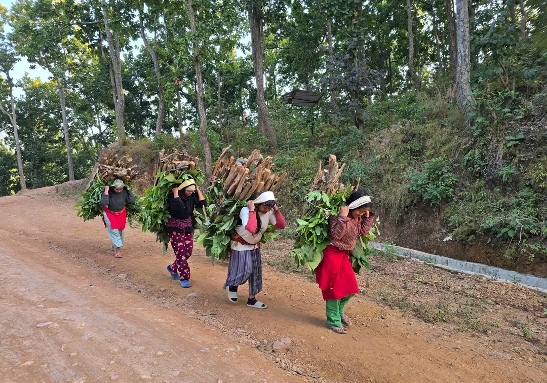 दाउराको भारी