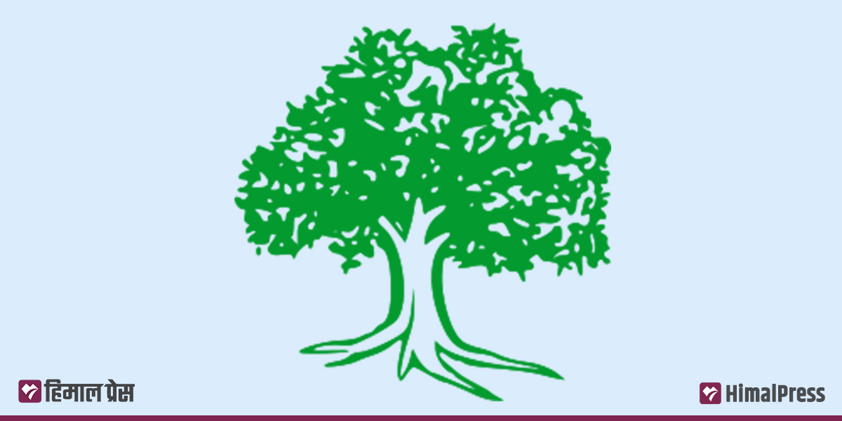 काठमाडौँ कांग्रेसका सात क्षेत्रीय सभापति विशेष महाधिवेशनको विरोधमा