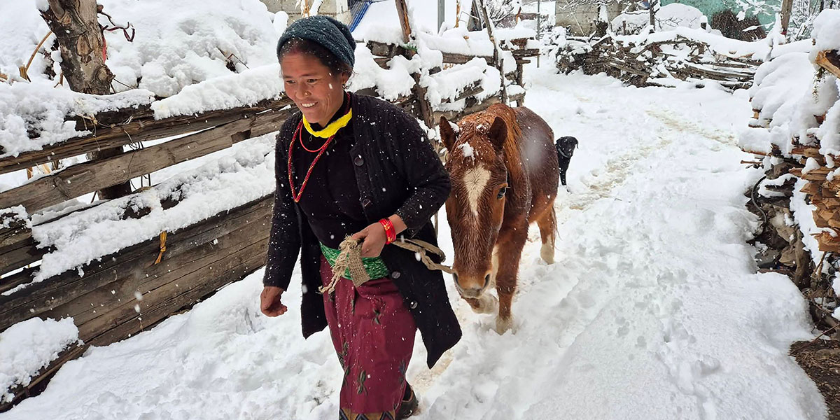 देशभरका हिमाली जिल्लामा हिमपात, जनजीवन कष्टकर (तस्बिरहरू)